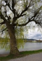 Tour Bodensee 03 - 2016_KA78783-1 Kopie